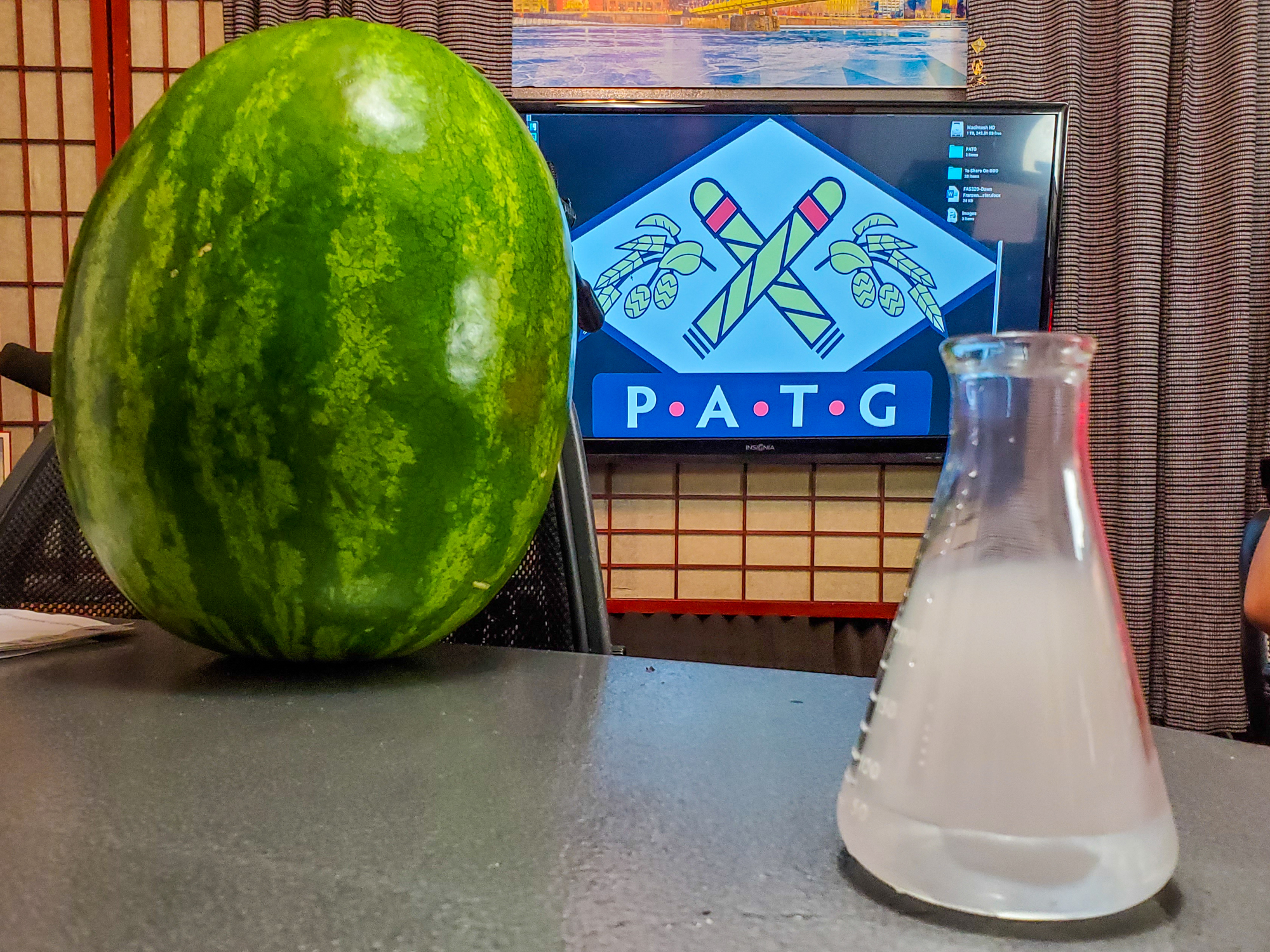 PATG394: Skatermelon