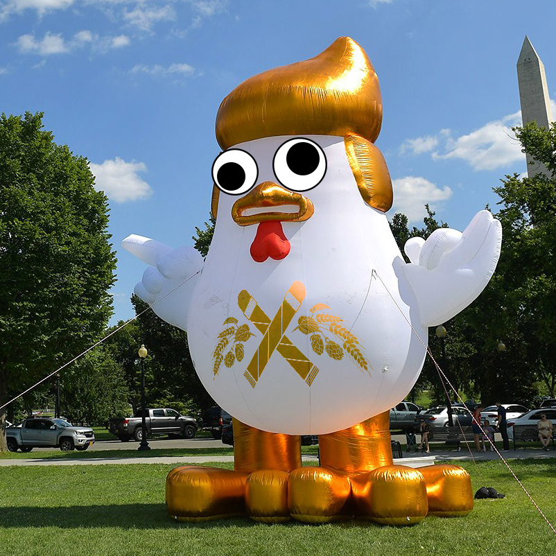 PATG391: A Balloon Filled with Chicken