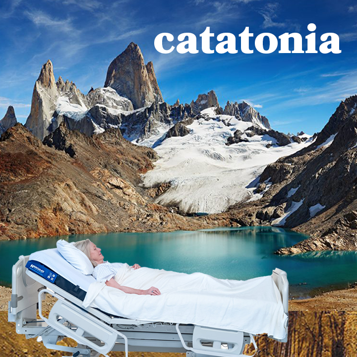 436: Catatonia