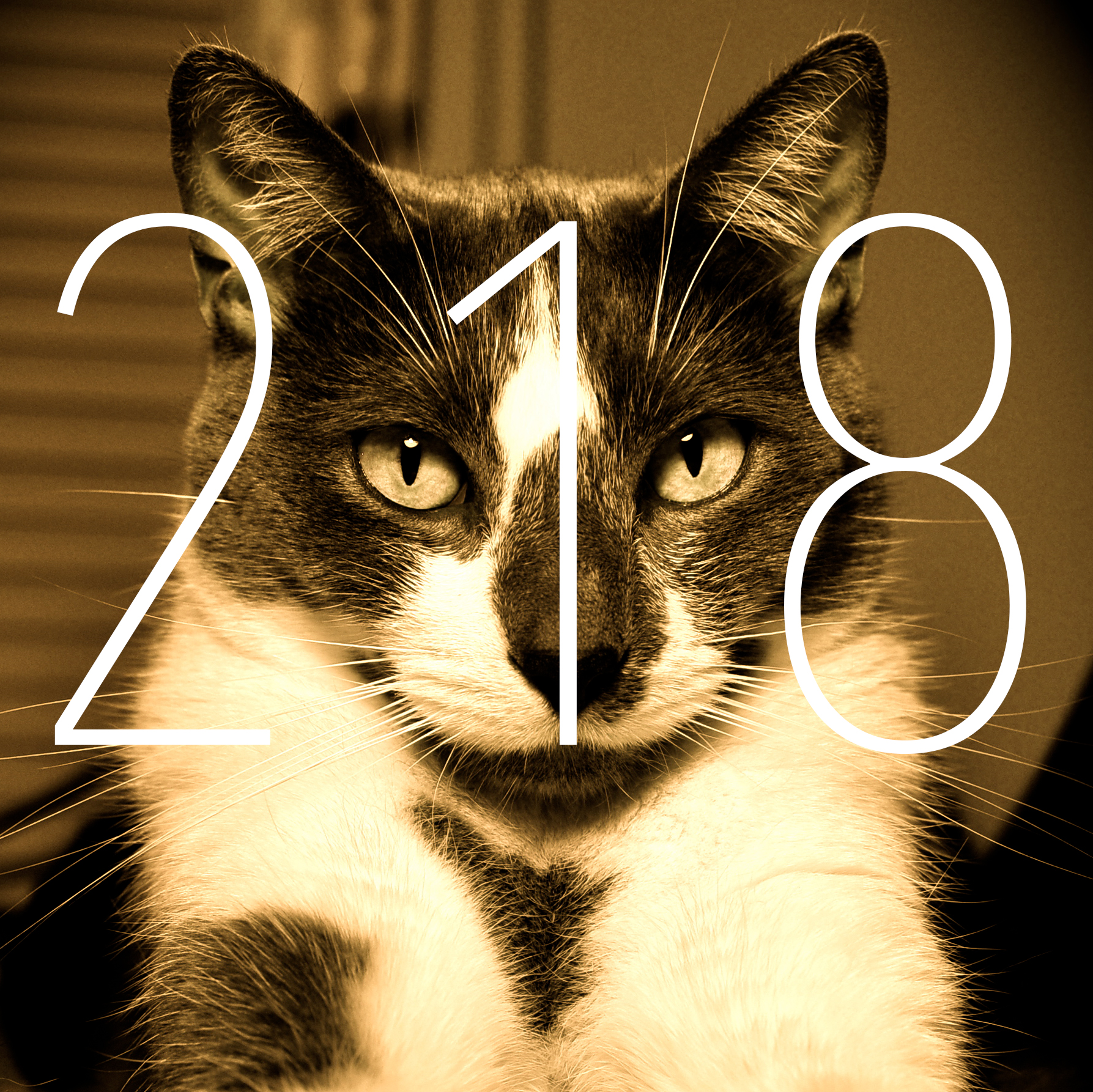 PCL218: Crappetite