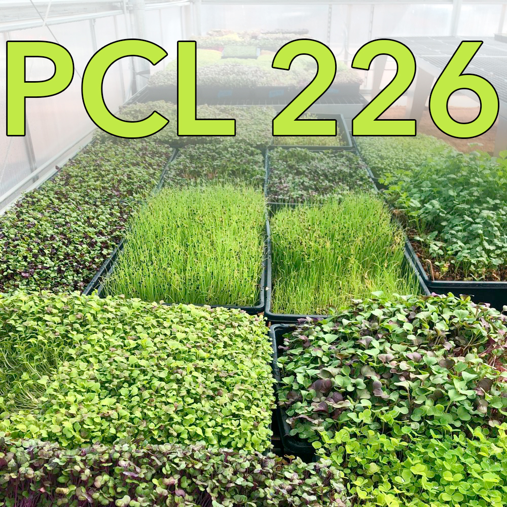 PCL226: My Buddy – Pt 1