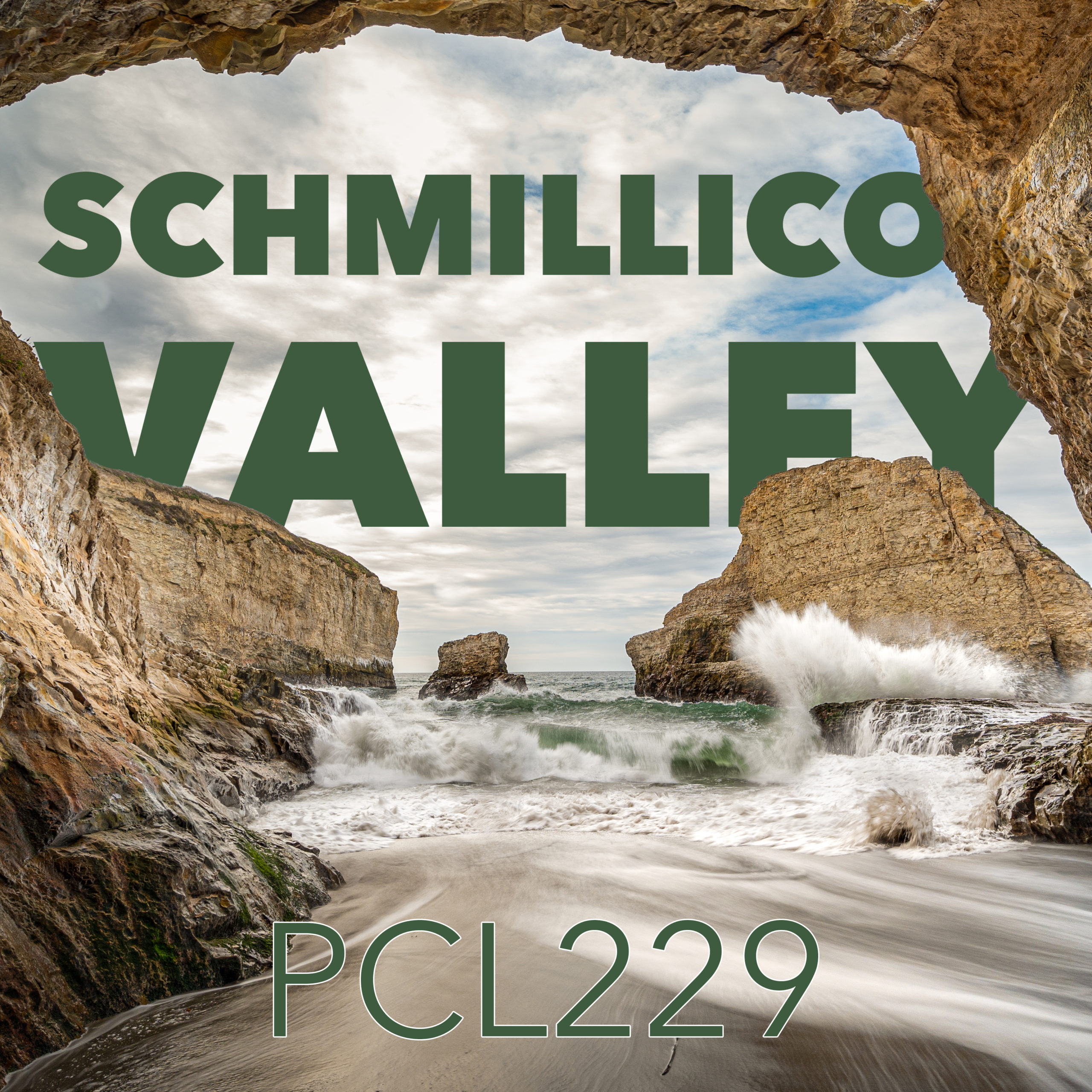 PCL229: CA 4 – Schmillicon Valley
