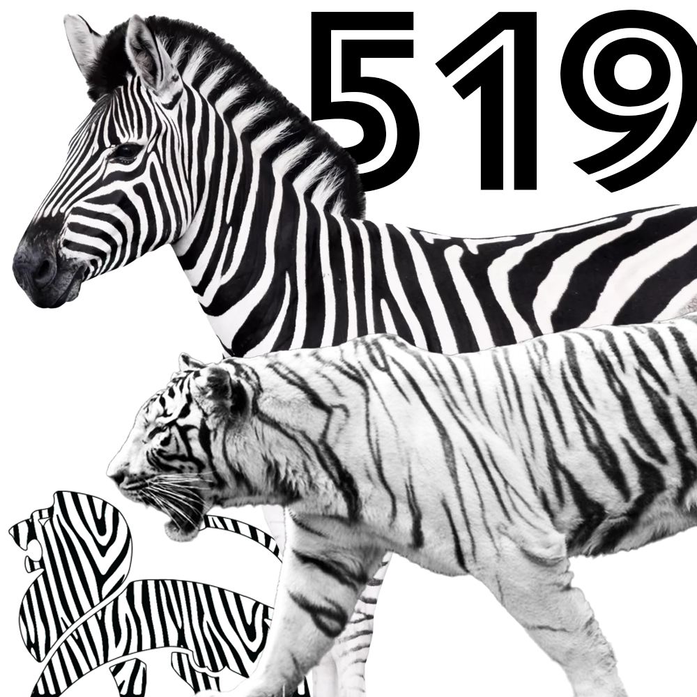 519: Nobody Knows What a Zebra’s Like